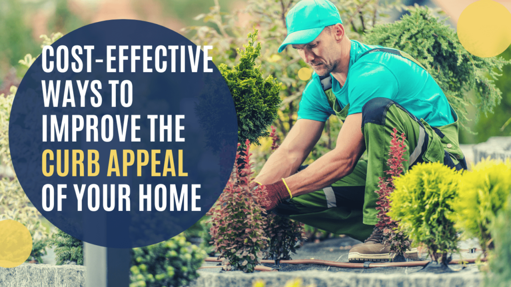 Cost-Effective Ways To Improve The Curb Appeal of Your Modesto Home - Article Banner